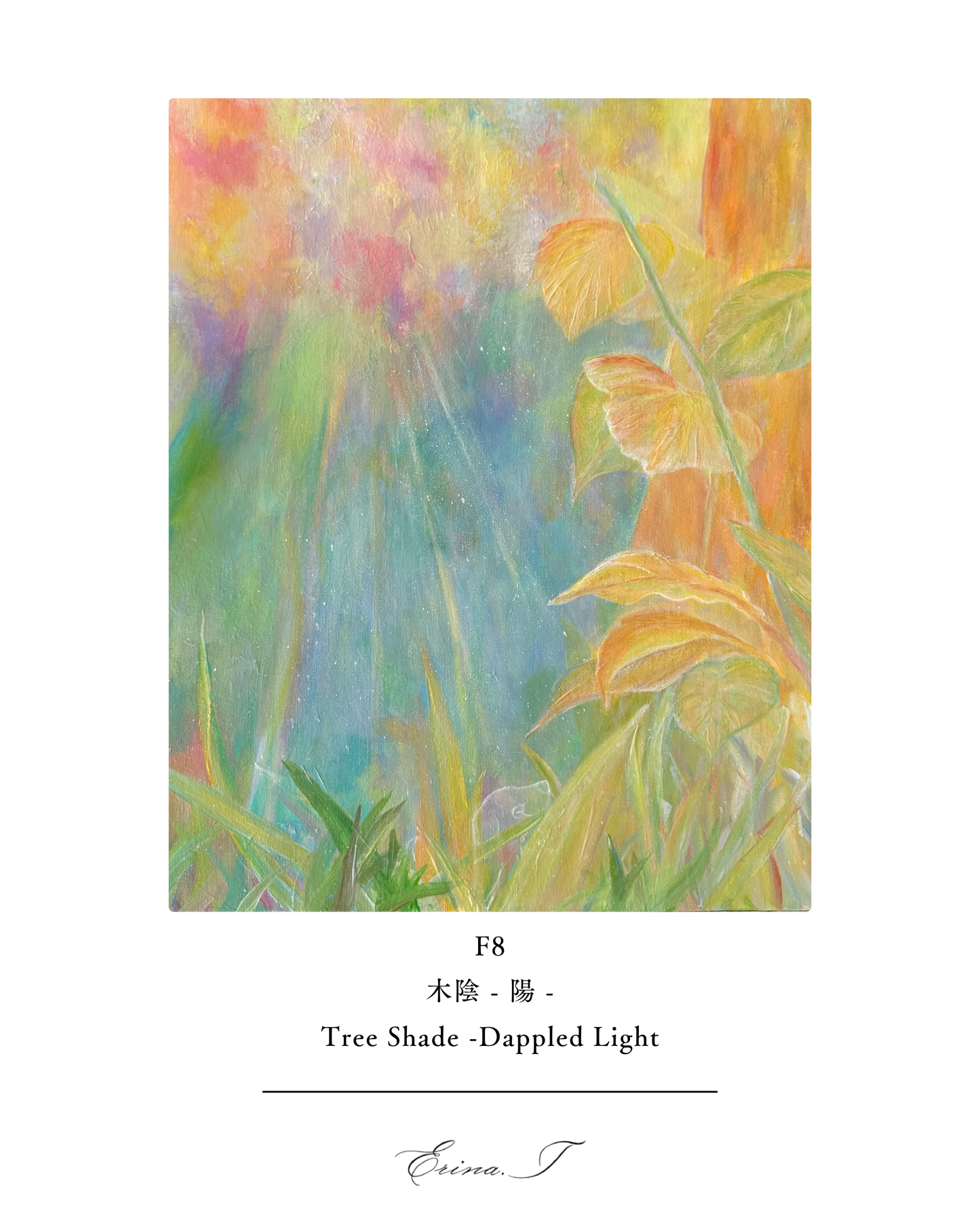 木陰 - 陽 - | Tree Shade - Dappled Light -