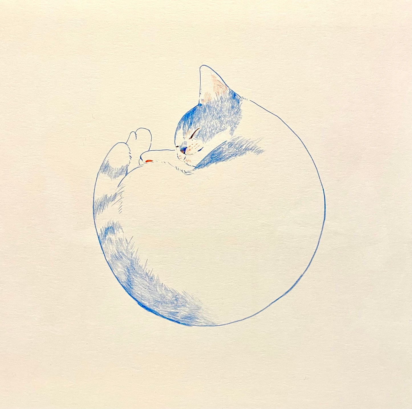MARU2