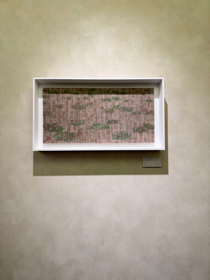 raindrop-雨の蓮池25/6