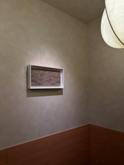 raindrop-雨の蓮池25/6