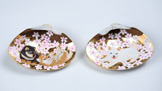 柴犬に桜/Shiba Inu and Sakura