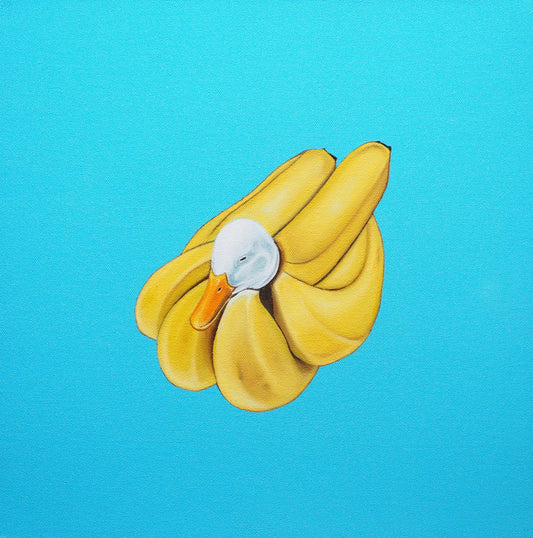 バヒルのひるね