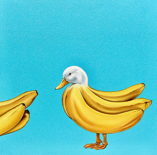 バヒルのおひる